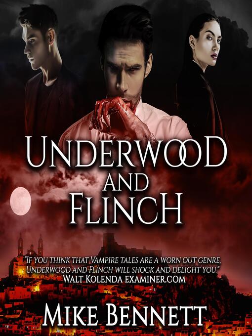Cover image for Underwood and Flinch